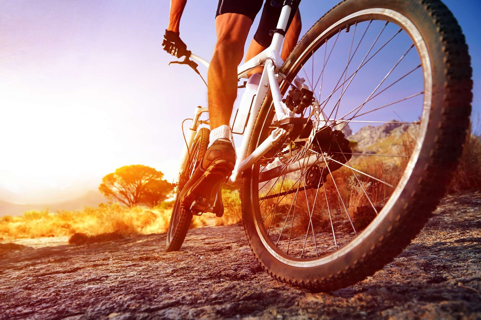 Vista de ángulo bajo de ciclista montando bicicleta de montaña en camino rocoso al amanecer